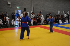 DSC_9006 (Kopie)