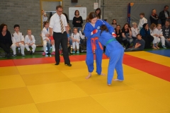DSC_9007 (Kopie)