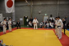 DSC_9009 (Kopie)