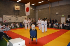 DSC_9035 (Kopie)