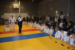 DSC_9106 (Kopie)