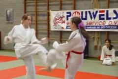 cks20066