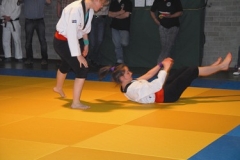 CK2010 027