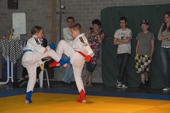 CK2010 043