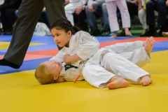 160320_JAPANSE_DAG_003