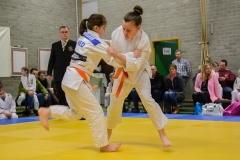 160320_JAPANSE_DAG_005