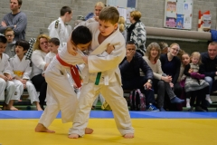 160320_JAPANSE_DAG_006