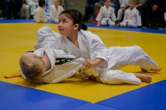 160320_JAPANSE_DAG_009