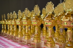 160320_JAPANSE_DAG_012