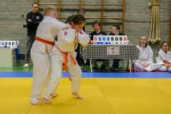 160320_JAPANSE_DAG_013
