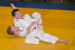160320_JAPANSE_DAG_016