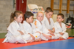 160320_JAPANSE_DAG_017
