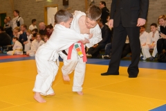 160320_JAPANSE_DAG_018