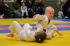 160320_JAPANSE_DAG_019