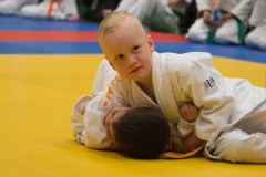 160320_JAPANSE_DAG_022