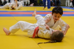 160320_JAPANSE_DAG_023
