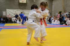 160320_JAPANSE_DAG_024