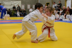 160320_JAPANSE_DAG_025