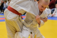 160320_JAPANSE_DAG_026