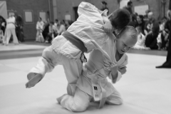 160320_JAPANSE_DAG_027