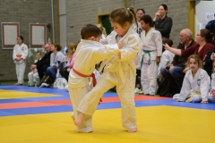 160320_JAPANSE_DAG_028