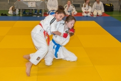 160320_JAPANSE_DAG_029
