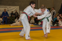 160320_JAPANSE_DAG_030