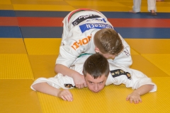 160320_JAPANSE_DAG_031