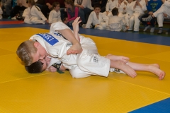 160320_JAPANSE_DAG_032