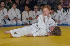 160320_JAPANSE_DAG_037
