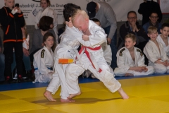 160320_JAPANSE_DAG_038