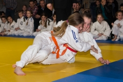 160320_JAPANSE_DAG_040
