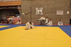 IMG-20230701-WA0011