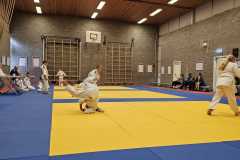 IMG-20230701-WA0028