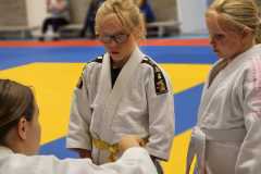 IMG-20230701-WA0029