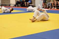 IMG-20230701-WA0036