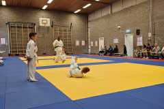 IMG-20230701-WA0037