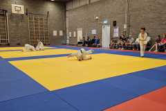 IMG-20230701-WA0040