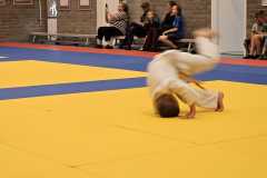 IMG-20230701-WA0041