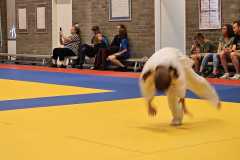 IMG-20230701-WA0042