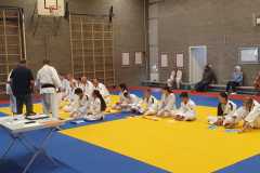 IMG-20230701-WA0146
