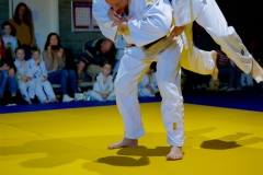 20241103-JV-Terwinselen-Japanse-Dag-Ebo-No-Kata-33
