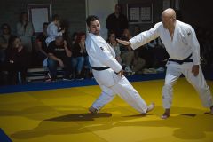 Foto's japansedag 2024 Itsutsu-no-Kata