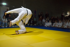 20241103-JV-Terwinselen-Japanse-Dag-KimeNoKata-29