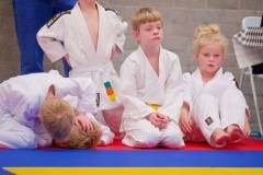 Foto’s  Japansedag 2024 voorrondes