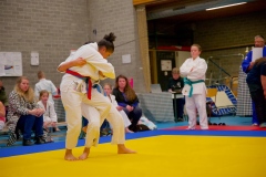 20241103-JV-Terwinselen-Japanse-Dag-Voorrondes-Judo-102