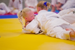 20241103-JV-Terwinselen-Japanse-Dag-Voorrondes-Judo-106