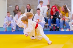 20241103-JV-Terwinselen-Japanse-Dag-Voorrondes-Judo-109