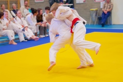 20241103-JV-Terwinselen-Japanse-Dag-Voorrondes-Judo-120