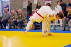 20241103-JV-Terwinselen-Japanse-Dag-Voorrondes-Judo-15